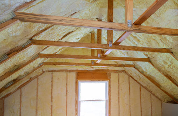 Best Insulation for New Construction  in Appleton, MN