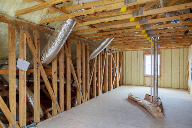 Best Attic Insulation Installation  in Appleton, MN