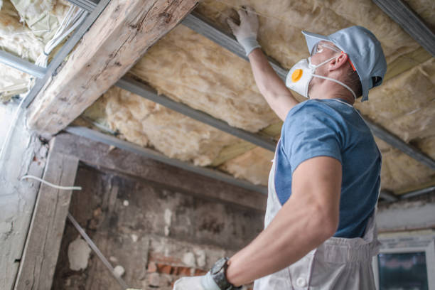 Best Insulation Replacement Services  in Appleton, MN