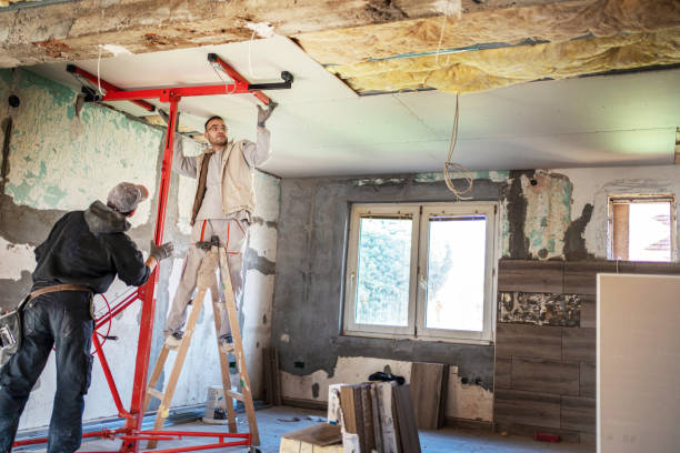 Best Energy-efficient Insulation  in Appleton, MN