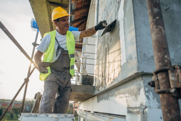 Best Insulation Removal  in Appleton, MN