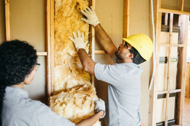 Best Insulation Repair Services  in Appleton, MN