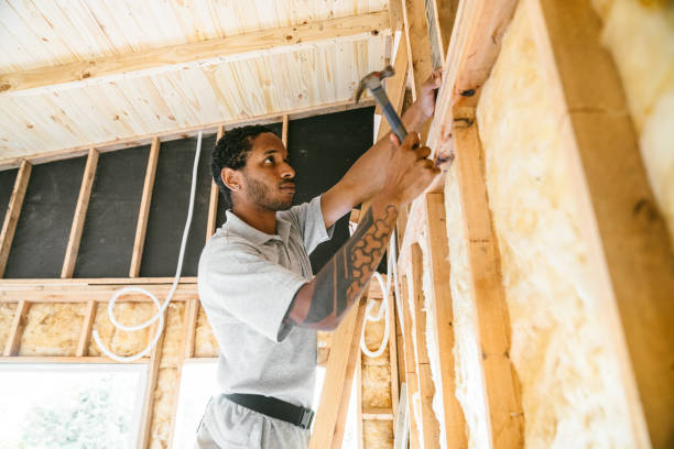 Best Attic Insulation Near Me  in Appleton, MN