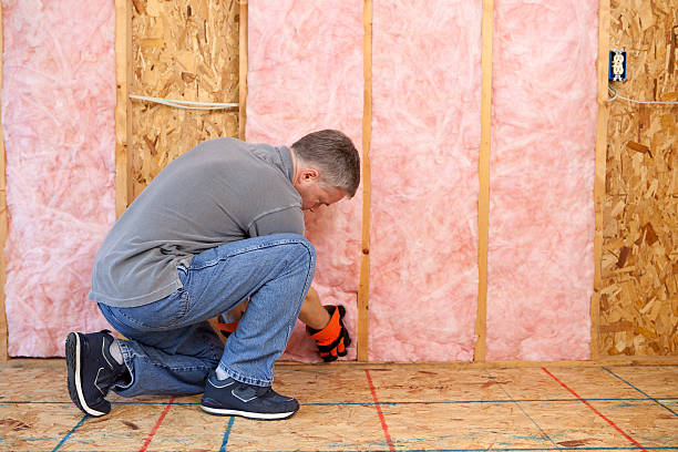 Best Attic Insulation Installation  in Appleton, MN