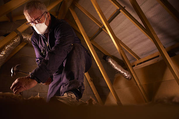 Best Best Insulation Companies  in Appleton, MN